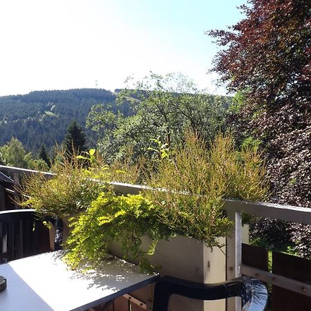 Villa Residenz Bocksberg-Blick & St. Florian Goslar Esterno foto